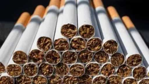 بنسبة 12%.. مجلس النواب يقر...