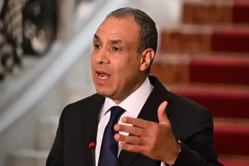 وزير الخارجية المصري