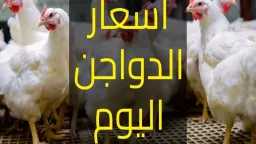الاقتصاد