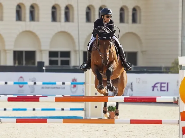 ميدان قفز الحواجز بنادي أبوظبي