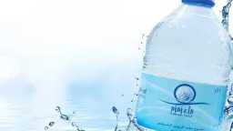 كل ما تريد معرفته عن...