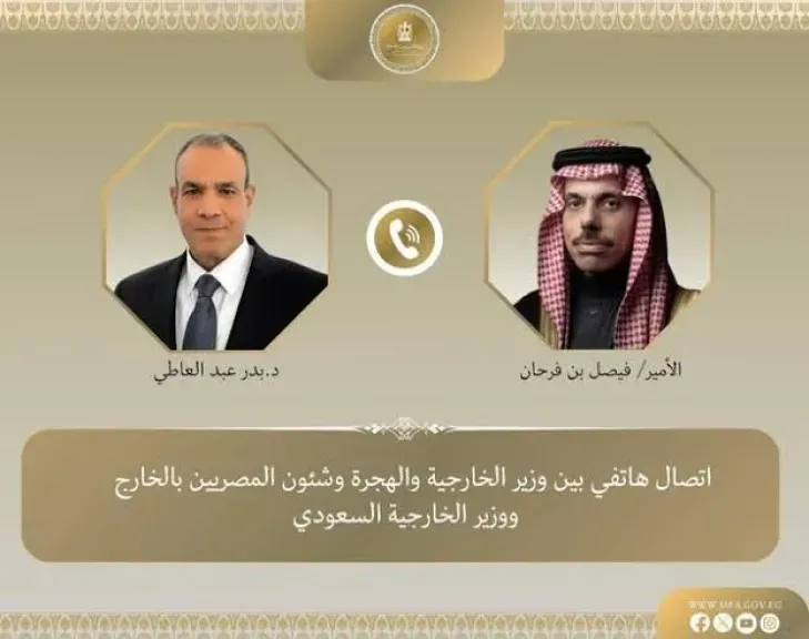 وزير الخارجية المصري ونظيره السعودي