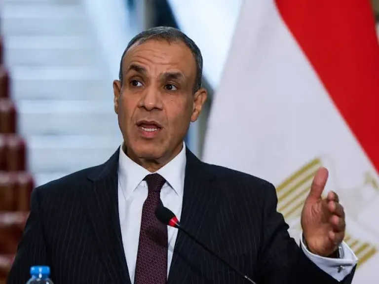 وزير الخارجية المصري