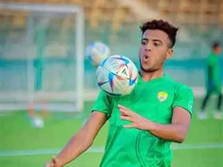 أحمد ربيع