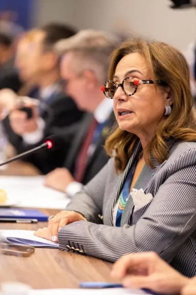 الدكتورة أماني أبو زيد : الطاقة هي مفتاح نهضة أفريقيا وتحقيق أجندة التنمية