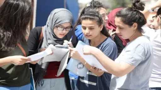 الأخبار