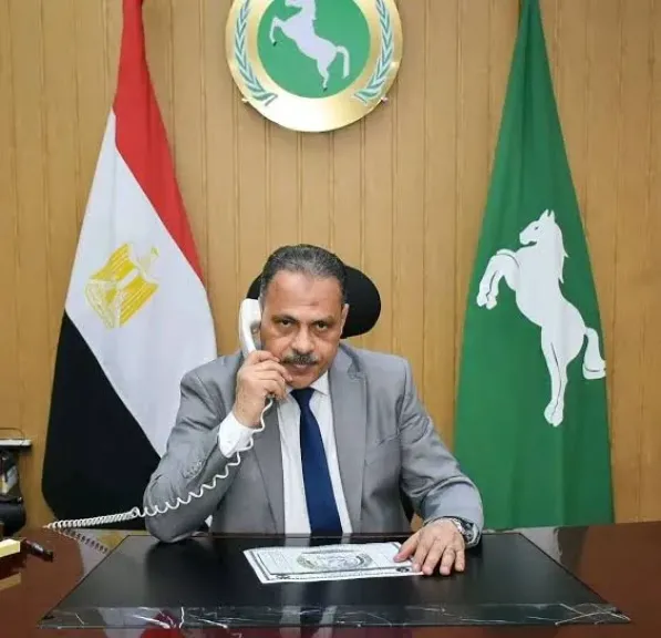 محافظ الشرقية