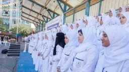 الأخبار