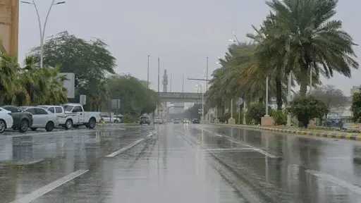أخبار عربية