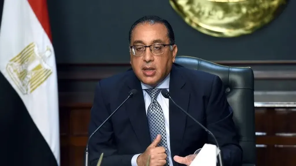 الاستثمار في مصر