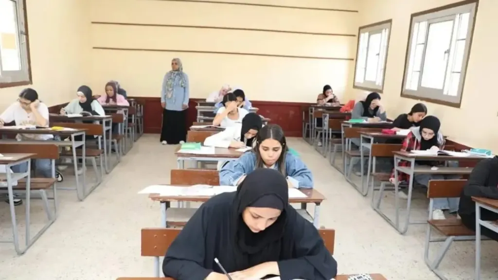 تنسيق الدبلومات الفنية