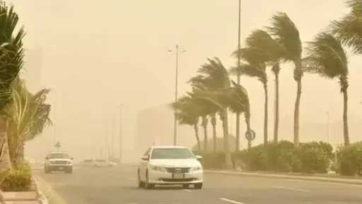 أخبار عربية
