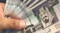سعر الريال مقابل الجنيه المصري...