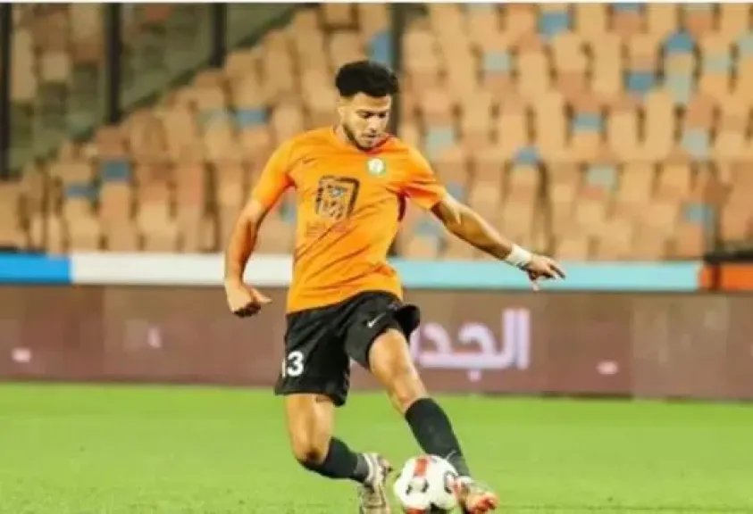 أحمد ربيع