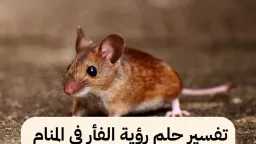 منوعات