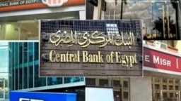 هل اليوم إجازة رسمية في...