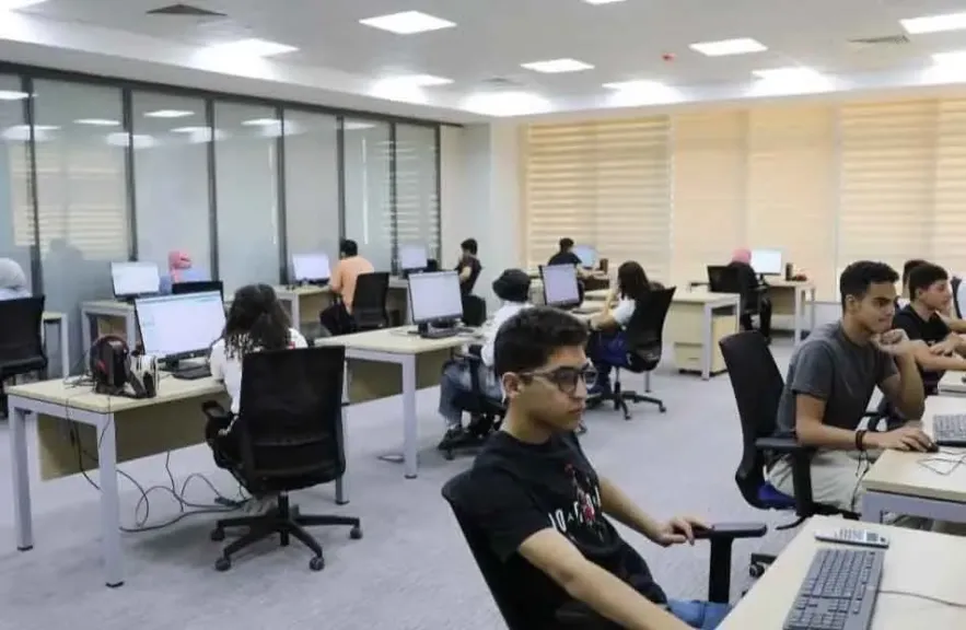 بوابة الحكومة المصرية تنسيق