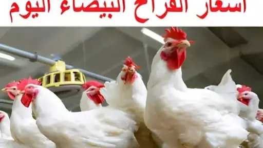 الاقتصاد