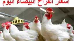 الاقتصاد