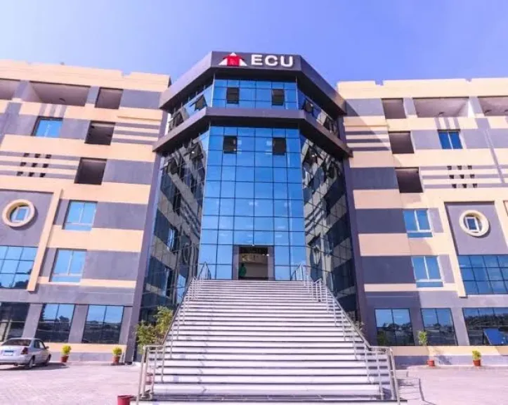 الجامعة الصينية في مصر