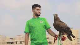 الرياضة