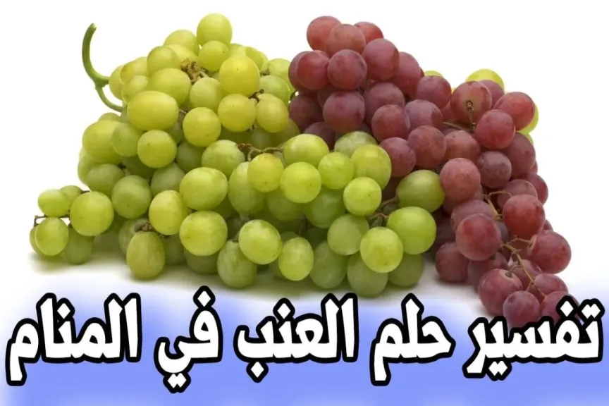 تفسير حلم العنب في المنام أخضر وأسود وأحمر للعزباء والمتزوجة عند ابن سيرين