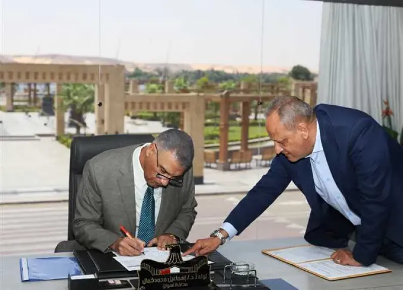 محافظ أسوان