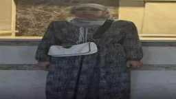 تحقيقات وتقارير
