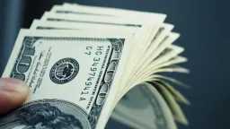 بكام الأخضر اليوم؟ سعر الدولار...