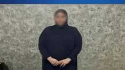 تحقيقات وتقارير