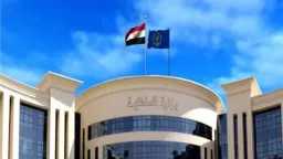تحقيقات وتقارير
