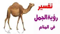 منوعات