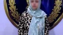 تحقيقات وتقارير