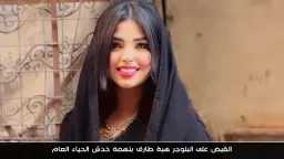 تحقيقات وتقارير