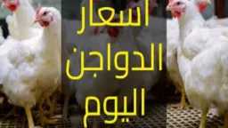 الاقتصاد