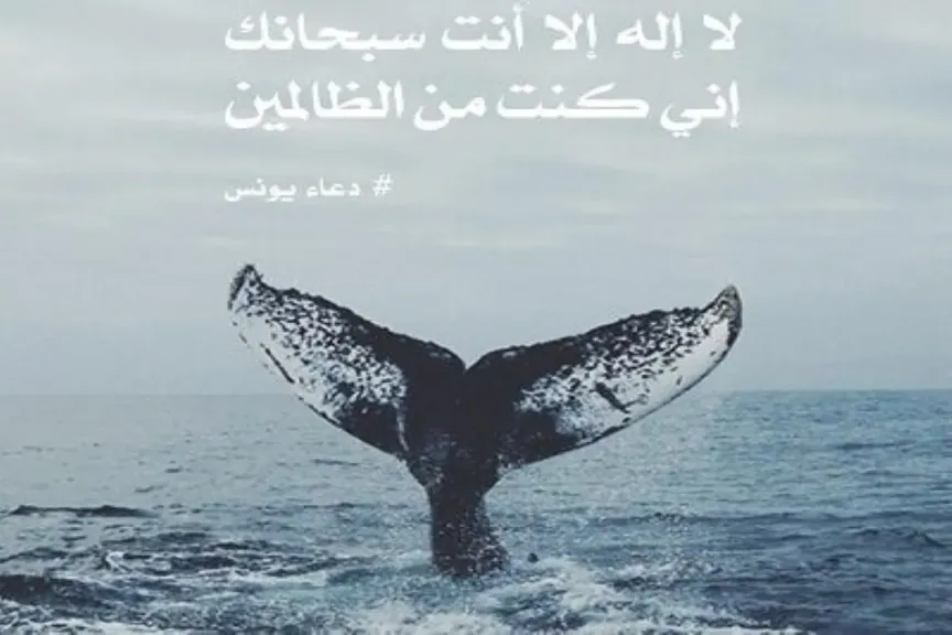 دعاء يونس في بطن الحوت يوتيوب