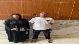 تحقيقات وتقارير