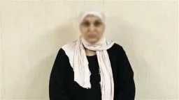 تحقيقات وتقارير