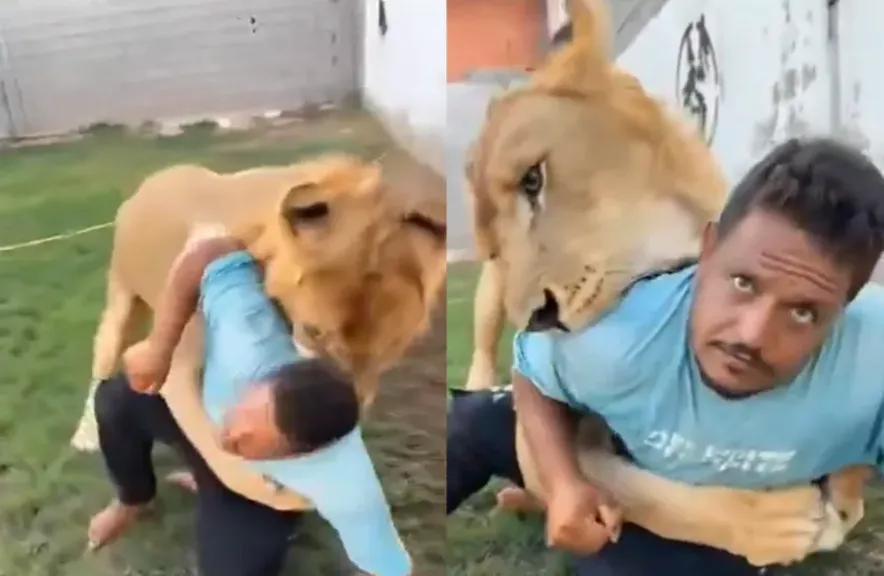 العامل المصري