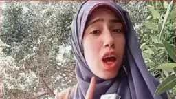 تحقيقات وتقارير