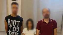 تحقيقات وتقارير