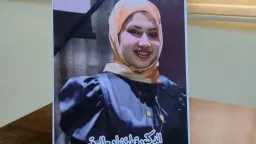 تحقيقات وتقارير