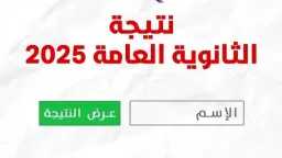 الأخبار