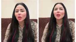 ميديا وتوك شو