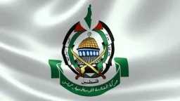 أخبار عالمية