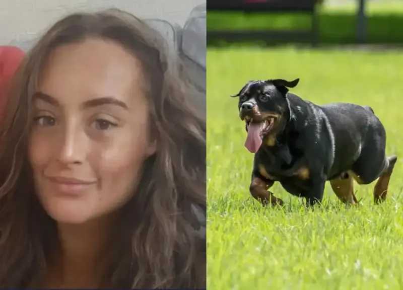 العضة القاتلة.. كلب روت وايلر ينهي حياة امرأة بسبب وجبة ماكدونلز