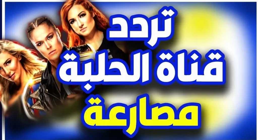 اتفرج على مباريات زمان.. تردد قناة الحلبة الجديد 2025 على النايل سات لمتابعة المصارعة الحرة