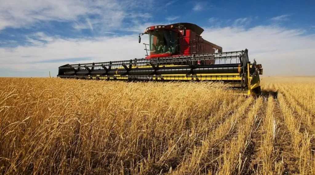 الإسماعيلية تطلق المرحلة الرابعة من مبادرة &ldquo;ازرع&rdquo; لزراعة القمح لموسم 2025-2026