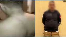 القبض على شخص في الجيزة...