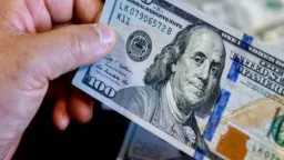 كم وصل الأخضر اليوم؟ سعر...